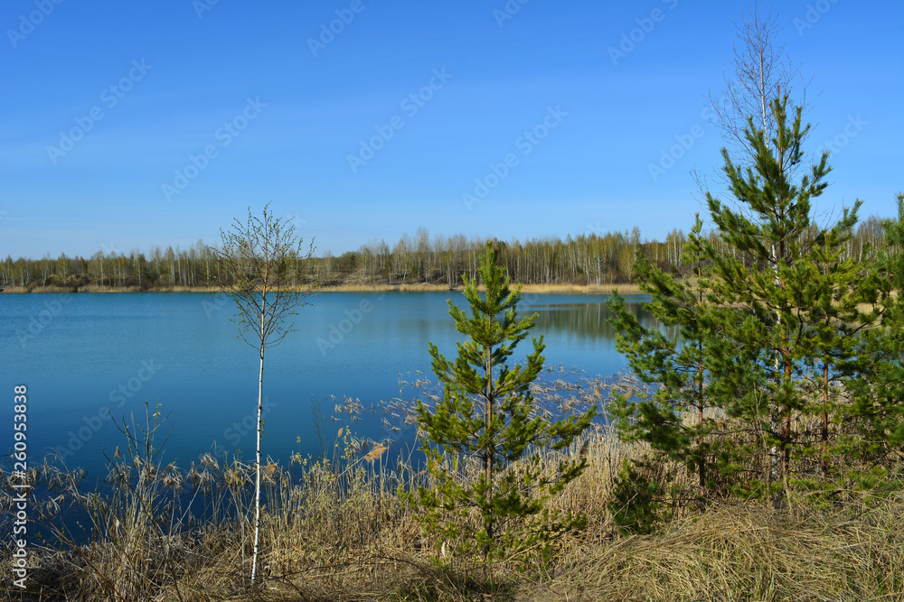 Lake with blue water and pine trees on the bank. Picturesque landscape in early spring.