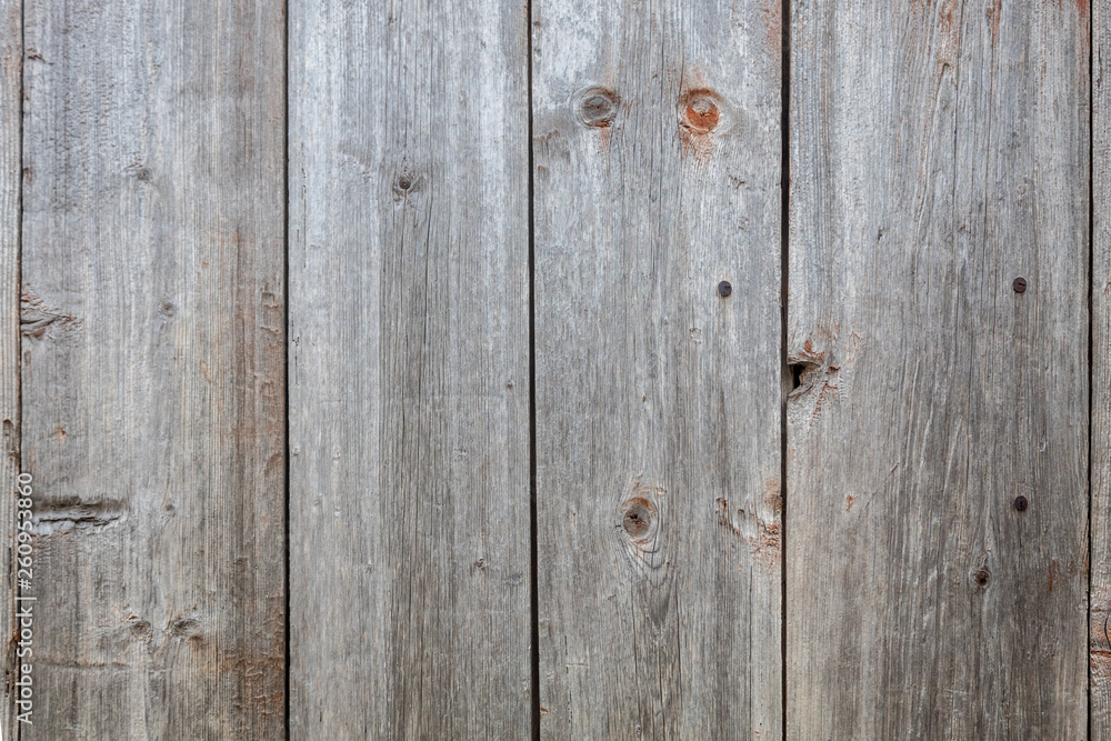 Naklejka premium Grayish Old Wood Texture 