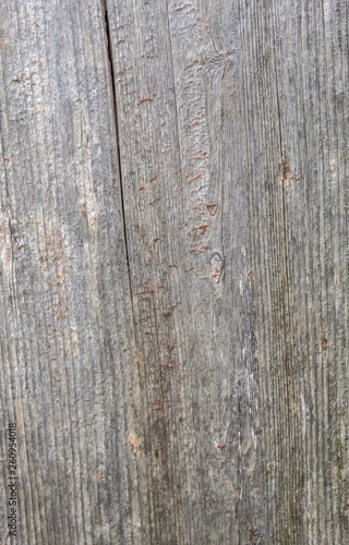 Grayish Old Wood Texture 