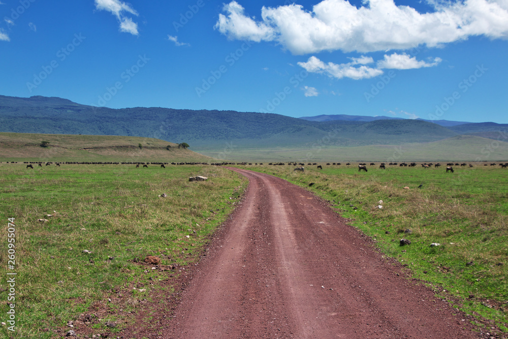 Ngorongoro, Safari, Tanzania