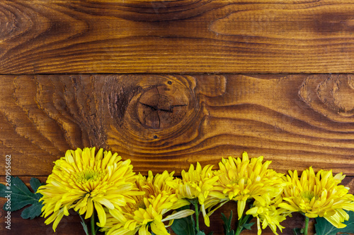 Yellow chrysanthemums on wooden background. Top view, copy space