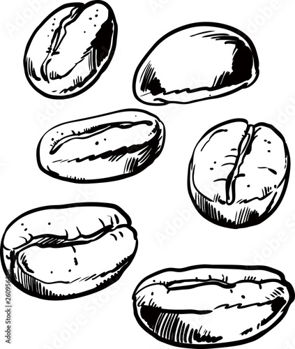 Coffee beans seeds flat icon for food apps,vector