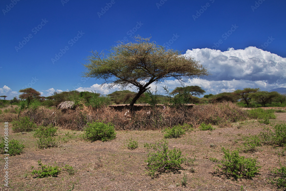 Bushmen village, Tanzania