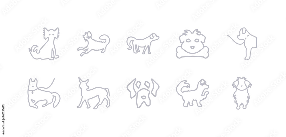simple gray 10 vector icons set such as maltipoo dog, mastiff dog, mexican hairless dog mudi newfoundland norfolk terrier nova scotia duck tolling retriever editable vector icon pack