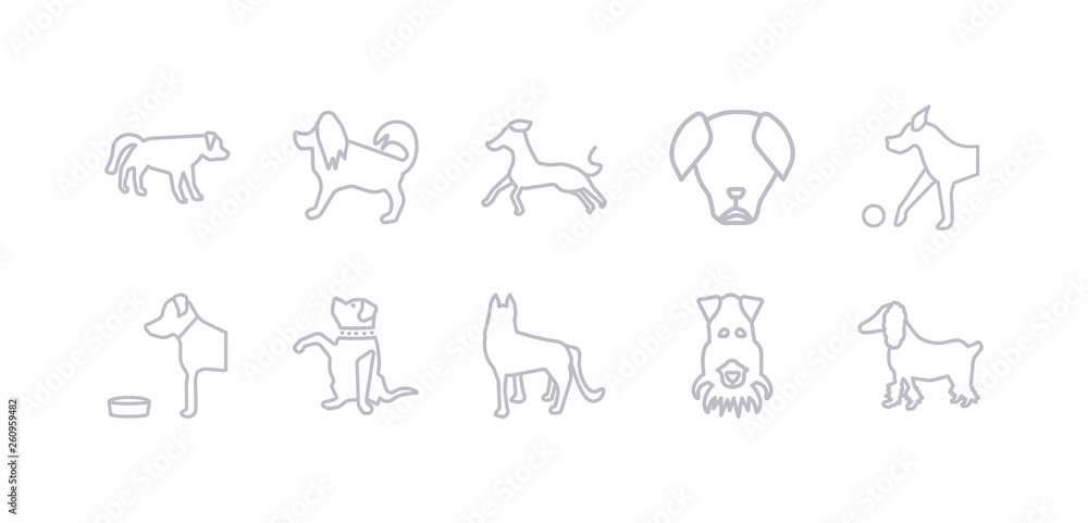 simple gray 10 vector icons set such as fox terrier dog, german shepards dog, goldador dog, golden retriever great dane great pyrenees greyhound editable vector icon pack