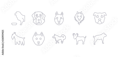 simple gray 10 vector icons set such as russian toy dog, samoyed dog, schipperke dog, schnauzer shar pei shetland sheepdog shiba inu editable vector icon pack