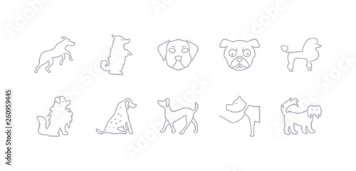 simple gray 10 vector icons set such as pitbull dog, plott hound dog, pointer dog, pomeranian poodle pug puggle editable vector icon pack