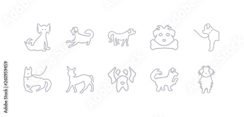 simple gray 10 vector icons set such as maltipoo dog, mastiff dog, mexican hairless dog mudi newfoundland norfolk terrier nova scotia duck tolling retriever editable vector icon pack