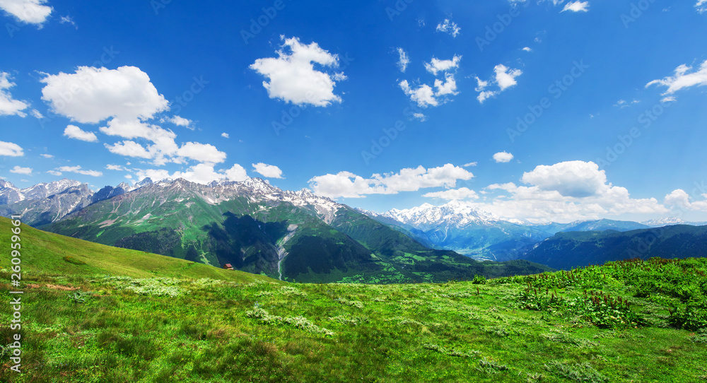 Alpine green mountain valley landscape