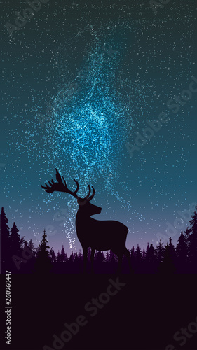 Starry sky, Northern lights, pine forest and silhouette of deer