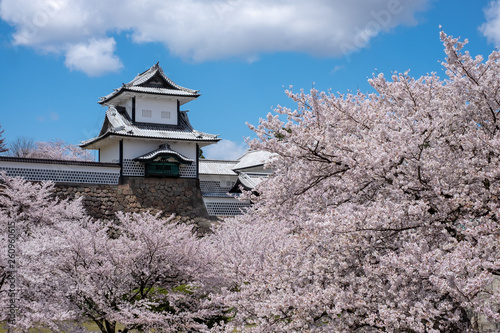 金沢城 石川門と満開の桜