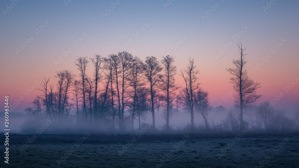 Valley of the Jeziorka River on a foggy morning near Piaseczno, Masovia, Poland - obrazy, fototapety, plakaty 