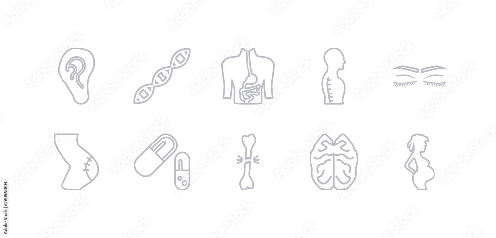 simple gray 10 vector icons set such as woman pregnant, brain upper view, broken bone, capsule black and white variant, cellulite, closed eyes with lashes and brows, column inside a male human body simple gray 10 vector icons set such as woman pregnant, brain upper view, broken bone, capsule black and white variant, cellulite, closed eyes with lashes and brows, column inside a male human body