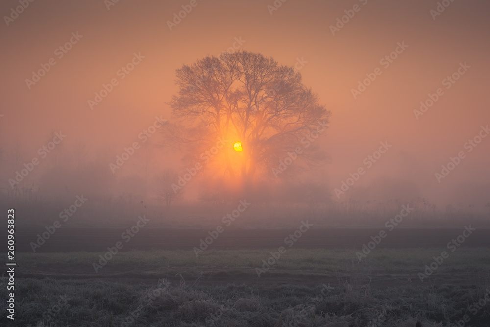 Valley of the Jeziorka River on a foggy morning near Piaseczno, Masovia, Poland Valley of the Jeziorka River on a foggy morning near Piaseczno, Masovia, Poland