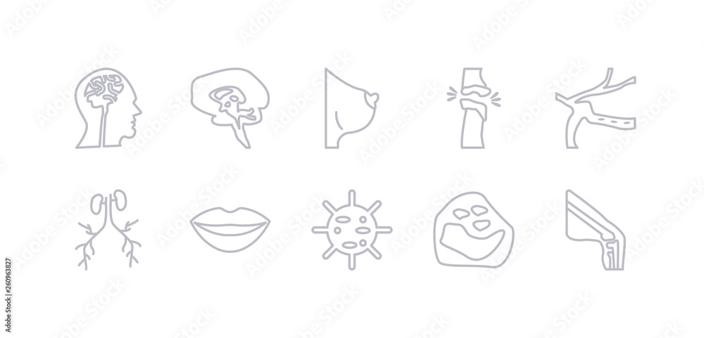 simple gray 10 vector icons set such as ball of the knee, basophil, big cellule, big lips, blood supply system, blood vessel, bones joint. editable vector icon pack simple gray 10 vector icons set such as ball of the knee, basophil, big cellule, big lips, blood supply system, blood vessel, bones joint. editable vector icon pack