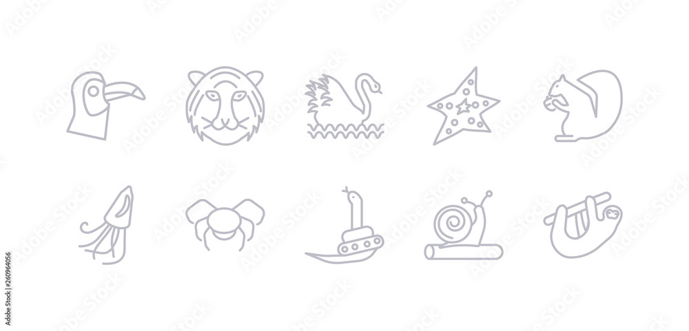 simple gray 10 vector icons set such as sloth, snail, snake, spider, squid, squirrel, starfish. editable vector icon pack
