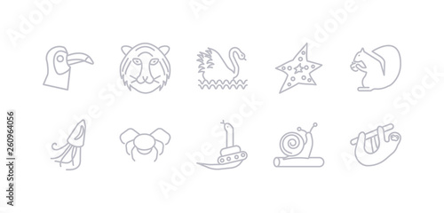 simple gray 10 vector icons set such as sloth  snail  snake  spider  squid  squirrel  starfish. editable vector icon pack