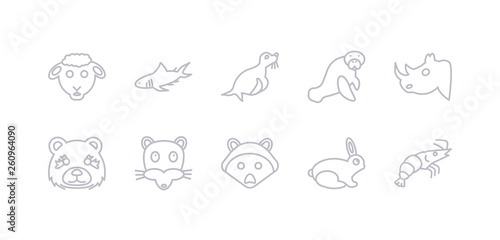 simple gray 10 vector icons set such as prawn  rabbit  racoon  rat  panda  rhino  sea cow. editable vector icon pack