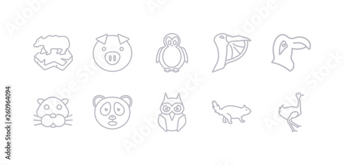 simple gray 10 vector icons set such as ostrich, otter, owl, panda bear, panther, parrot, pelican. editable vector icon pack