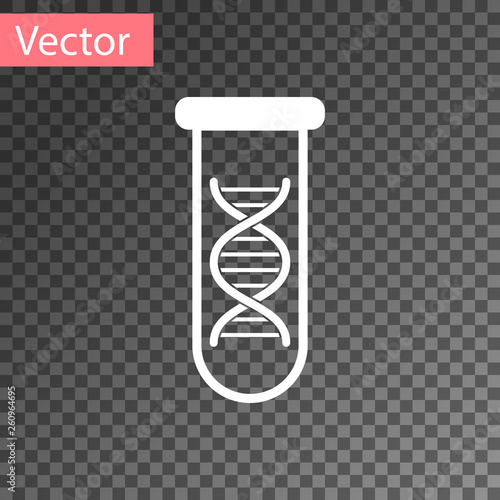 White DNA research, search icon isolated on transparent background. Genetic engineering, genetics testing, cloning, paternity testing. Vector Illustration