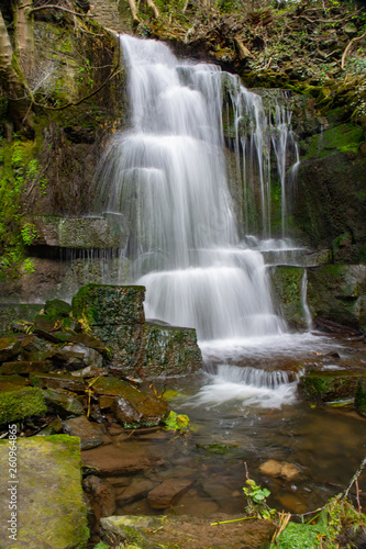 Fototapeta Naklejka Na Ścianę i Meble -  Harmby waterfall in woodland.