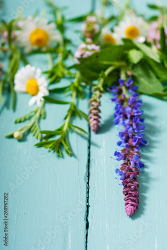 herbal flowers on blue wooden table background © tstock