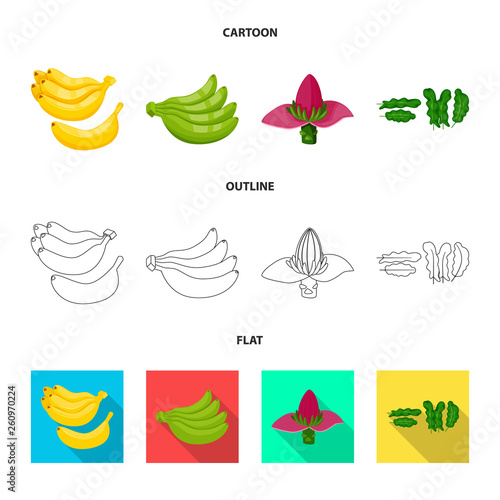 Isolated object of natural and vegetarian icon. Collection of natural and eating stock symbol for web.