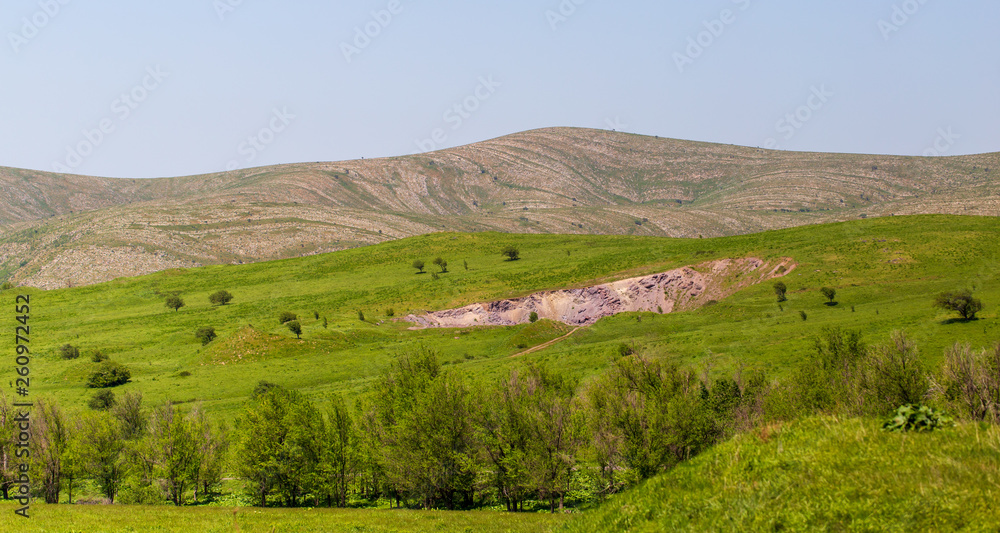 Green vegetation on the mountain slopes in spring Green vegetation on the mountain slopes in spring
