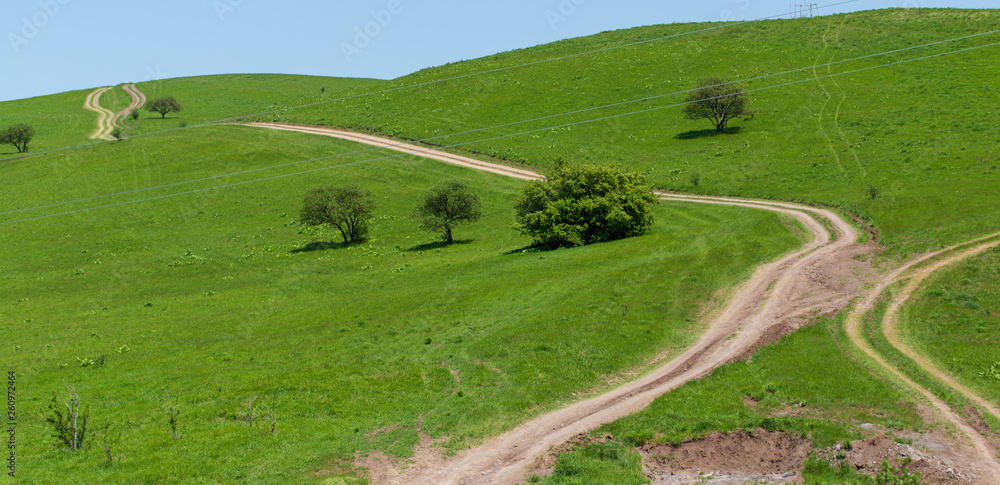 Dirt road in the grass in spring
