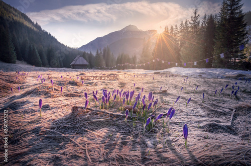 Sunrise over the Chochołowska Valley