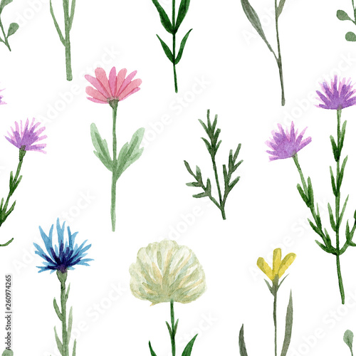 Seamless pattern watercolor wildflowers isolated on white background. Hand drawn painted flowers illustration. Summer disign