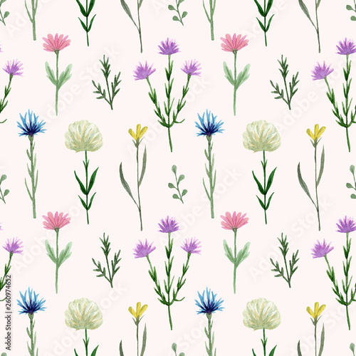Seamless pattern watercolor wildflowers isolated on white background. Hand drawn painted flowers illustration. Summer disign