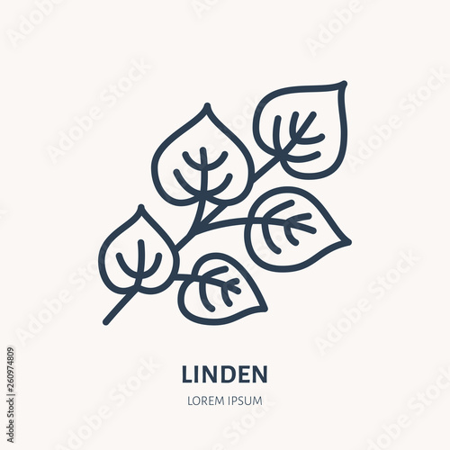 Linden flat line icon. Medicinal plant leaves vector illustration. Thin sign for herbal medicine, tree branch logo