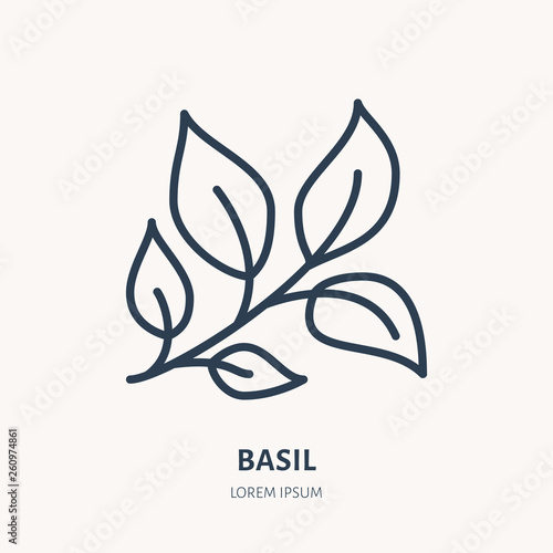 Basil flat line icon. Medicinal plant leaves vector illustration. Thin sign for herbal medicine, tree branch logo