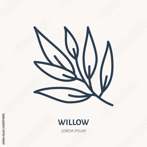 Willow flat line icon. Medicinal plant leaves vector illustration. Thin sign for herbal medicine, tree branch logo