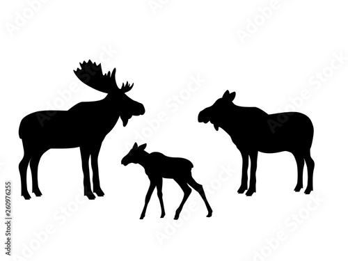 Elk moose mammal black silhouette animal. Vector Illustrator.