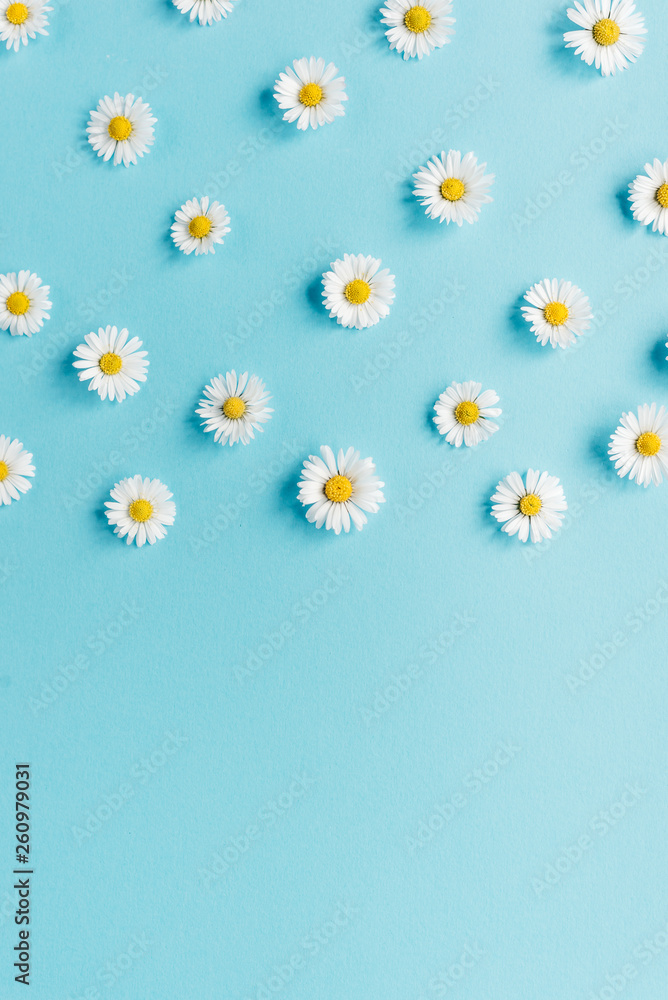 Obraz premium Flowers composition. Pattern made of chamomile flowers on pastel blue background. Spring, summer concept. Flat lay, top view, copy space