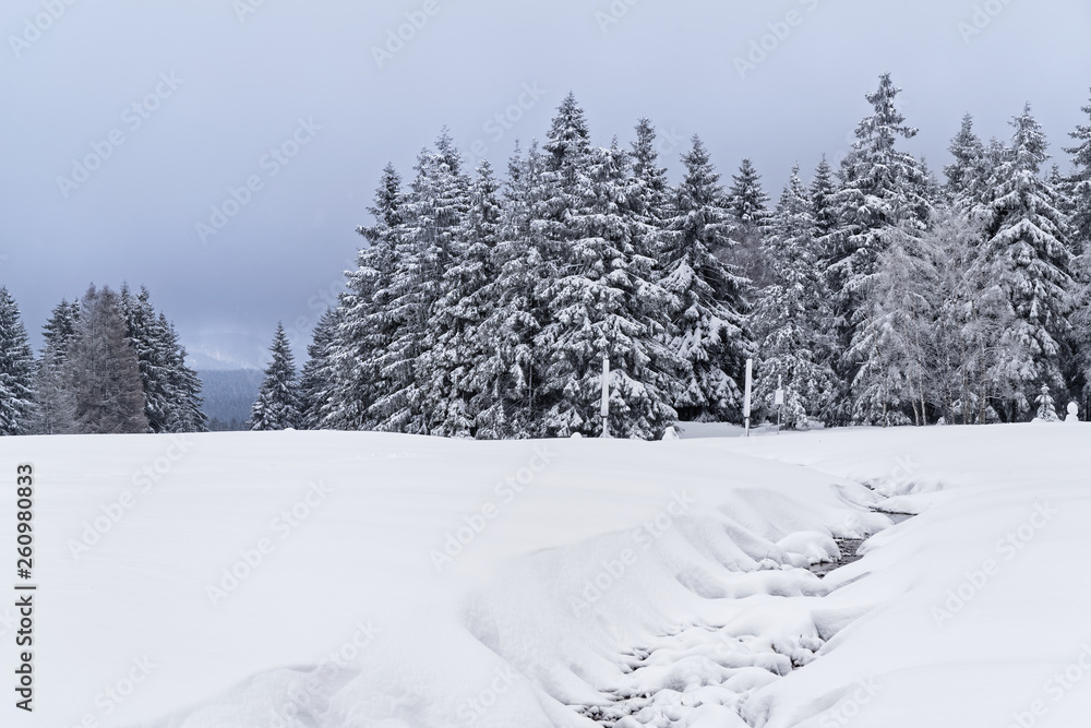 Fototapeta premium Beautiful winter landscape in Harz mountains national park
