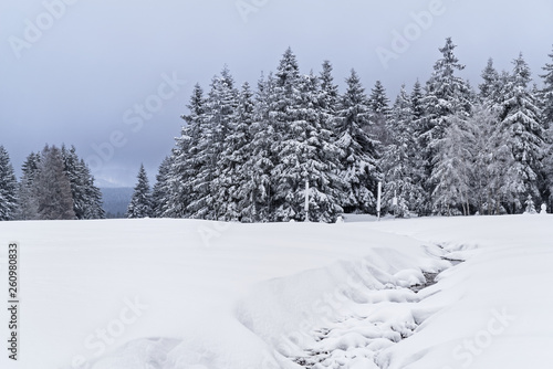 Beautiful winter landscape in Harz mountains national park