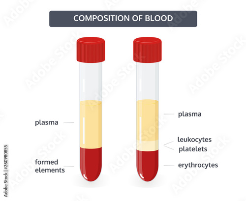 Composition of blood concept in flat style. Vector illustration.