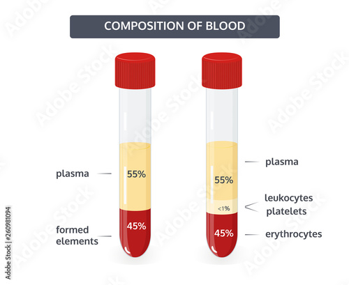 Vector flat illustration of composition of blood. The percentage of formed elements of blood.