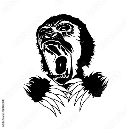 vector image of ape and silhouette of gorilla photo