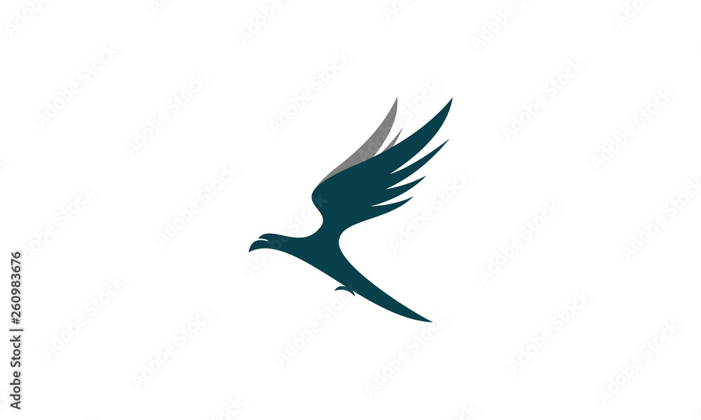 Obraz premium flying falcon