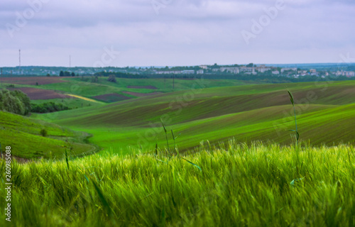 Fields landscape in summer sunset and sunrise