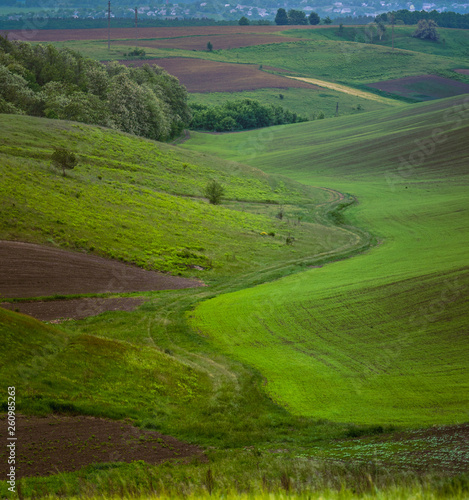 Fields landscape in summer sunset and sunrise