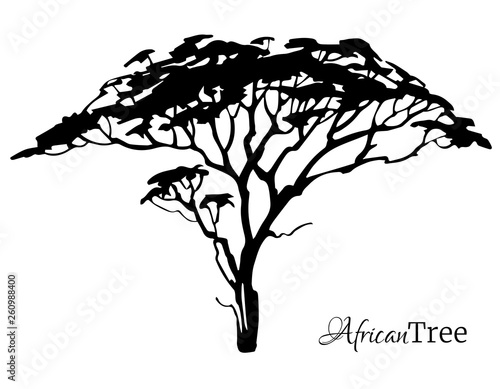 African tree black silhouette isolated. Vector illustration.
