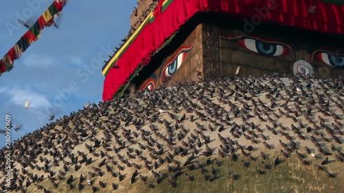 Many birds together, flying around Kathmandu spiritual temple. Decorated, ornate painted face on wall with prayer flags, colourful.