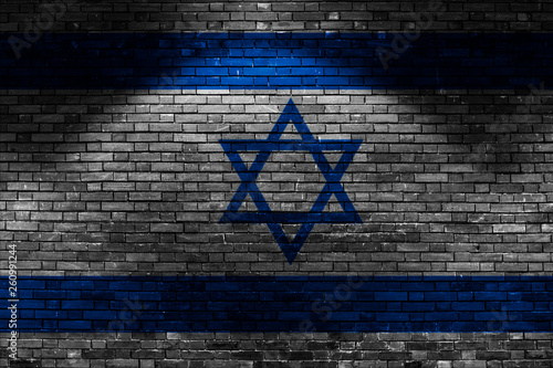 Israel flag on brick wall at night
