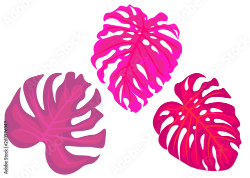 Tropical leaves motifs for graphic, textile, interior design