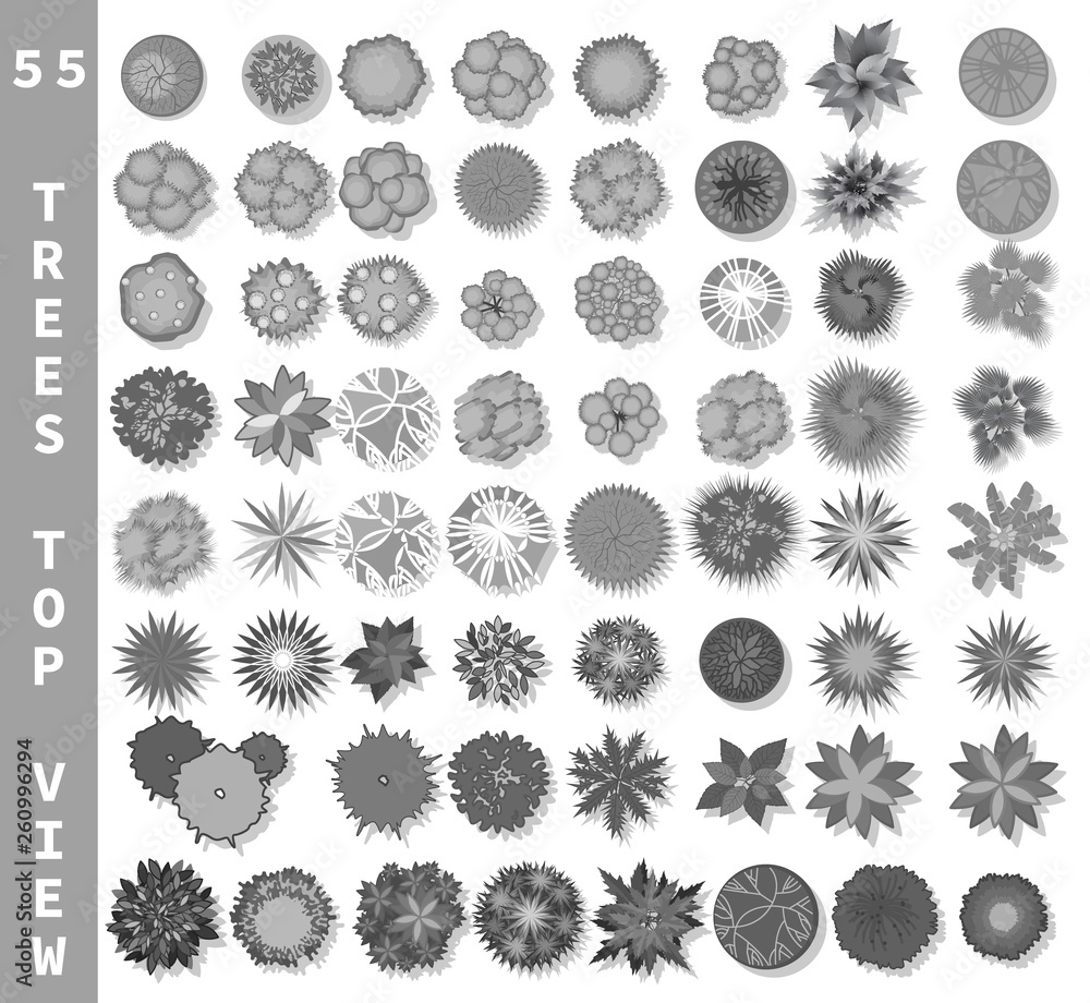 Different trees top view. View from above set for architectural and landscape natural green space design. Vector isolated on white Different trees top view. View from above set for architectural and landscape natural green space design. Vector isolated on white
